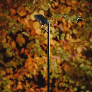 Luceplan LED tuinpadverlichting Flia, 2-lamps, zwart, kunststof