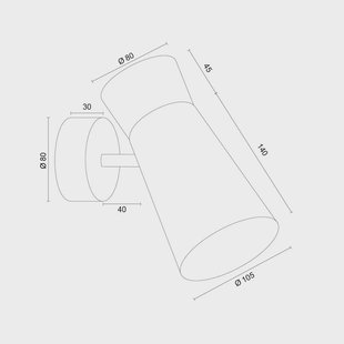 Argon Wandlamp Lotta, goudkleurig, spot, staal, verstelbaar