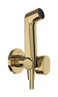 Hansgrohe bidethanddouche 1jet EcoSmart voor warm water met douchehouder en doucheslang 125 cm, Polished Gold-Optic