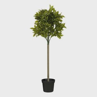 Mica Decorations Laurierboom Kunstplant - H120 x Ø40 cm - Groen