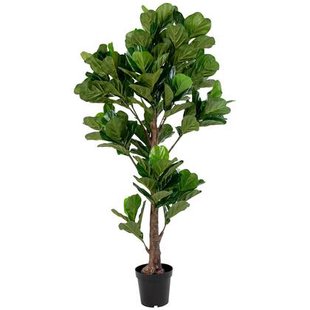 House Nordic Fiddle Bladboom Kunstplant H190 cm
