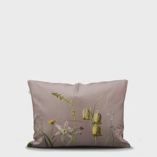 Essenza Ficaria Kussensloop 60x70 cm - Woodrose