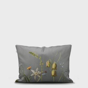 Essenza Ficaria Kussensloop 60x70 cm - Grijs