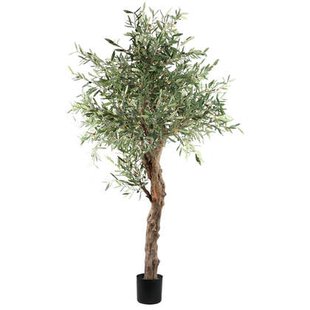 PTMD Tree Green Olive Tree In Pot 210cm