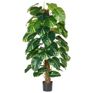 Beliani-DIEFFENBACHIA-Kunstplant-Groen-152 cm-Synthetisch materiaal