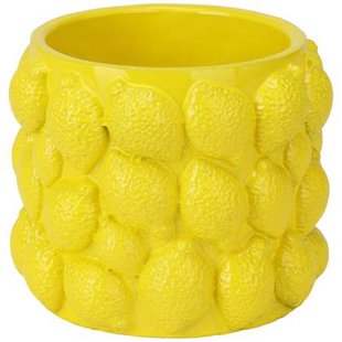 MISOU Citroenvaas 10x10cm Bloempot met Citroenen Plantenpot Bloempo...