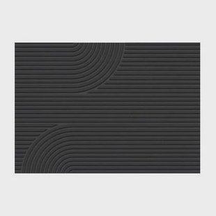 MD Entree - Deurmat - Schoonloopmat - Impression - Lines - 50 x 75 cm