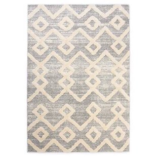 Tapeso Scandinavisch vloerkleed - Fjord Fosse grijs|crème - 120x170 cm