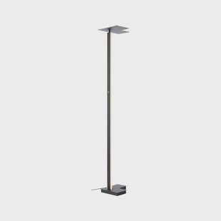 Brilliant LED vloerlamp Mora, antraciet, hoogte 178 cm, metaal