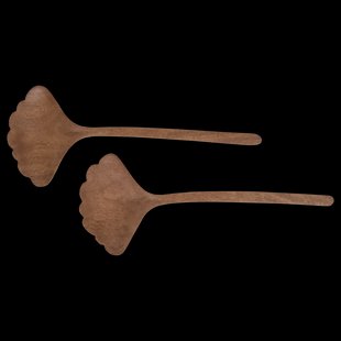 Urban Nature Culture -  Slacouvert  -  Katherine