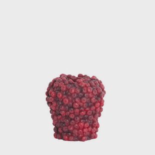 Light & Living - Vaas BERRIES - Ø20x20.5cm - Rood