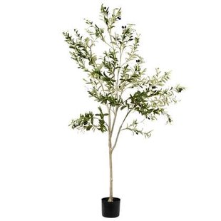 Beliani - OLIVE TREE - Kunstplant - Groen - 178 cm - Synthetisch