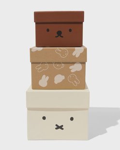 HEMA Nijntje opbergdoosjes karton - 3 stuks
