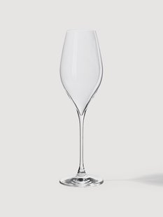 Champagneglazen Silvio van kristalglas, 4-delig