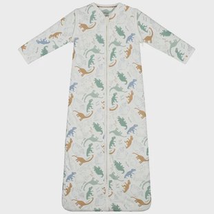 Prénatal slaapzak dino