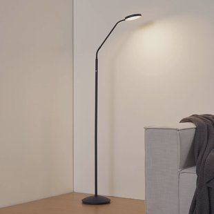 Lindby LED vloerlamp Elvyn, zwart, verstelbaar
