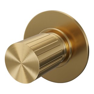 Brauer Stripe losse inbouw stopkraan met in- en afbouwdelen goud geborsteld PVD