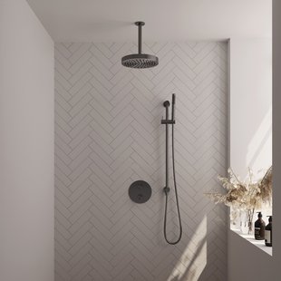 Brauer Stripe thermostatische inbouw regendouche 3-weg rond SET 45 met 25 cm douchekop en plafondarm en staaf handdouche en doucheslang en geintegreerde glijstang gunmetal geborsteld PVD