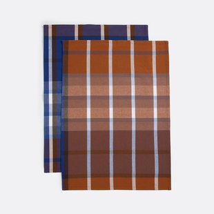 Set van 2 geweven-geverfde katoenen theedoeken, Selwyn