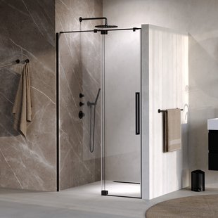 BRAUER Stellar nisdeur 2-delig draaiend helder glas 100x200 omkeerbaar incl. glascoating mat zwart