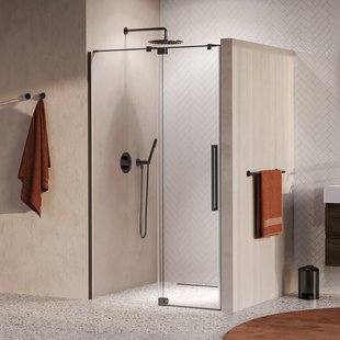 BRAUER Stellar nisdeur 2-delig draaiend helder glas 120x200 omkeerbaar incl. glascoating PVD gunmetal geborsteld