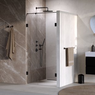 BRAUER Void Carving nisdeur 2-delig helder glas 100x200 omkeerbaar met draaideur 60 aan muur incl. glascoating mat zwart