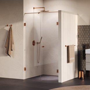 BRAUER Void Carving nisdeur 2-delig helder glas 120x200 omkeerbaar met draaideur 60 aan muur incl. glascoating PVD koper geborsteld