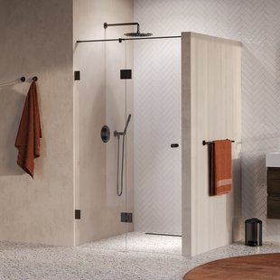 BRAUER Void Carving nisdeur 2-delig helder glas 120x200 omkeerbaar met draaideur 60 aan glas incl. glascoating PVD gunmetal geborsteld