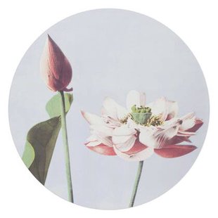 Reinders - Elegante Bloem - Glasschilderij Ø 70 cm - Roze