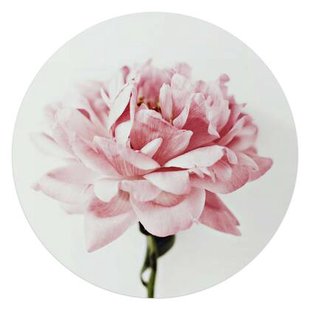 Reinders - Pioenroos - Glasschilderij Ø 70 cm - Roze