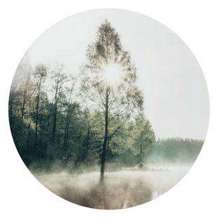 Reinders - Zon door de boom - Glasschilderij Ø 70 cm - Groen