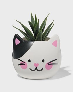 HEMA Plantenpot 9.3x9.3x8.3cm keramiek kat