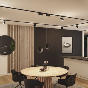 Paulmann URail-pendel Alejandro zwart 3.000 K 3-traps dimbaar