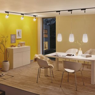 Paulmann URail railadapter Zigbee 3.0, zwart mat