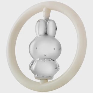 Zilverstad rammelaar nijntje in ring