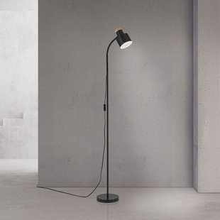 ORION Vloerlamp Gili, zwart mat, staal, hoogte 150 cm, E27