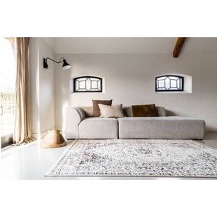 Interieur05 Vintage vloerkleed Arya bruin|beige - 225 x 160 cm