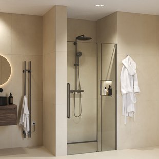 Nisdeur Sanivo Sena Met Vast Paneel Helder Glas 120x200 cm Met Montageset Gunmetal