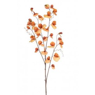 Fleurdirect Kunsttak Lathyrus - Oranje|Terra - Kunststof