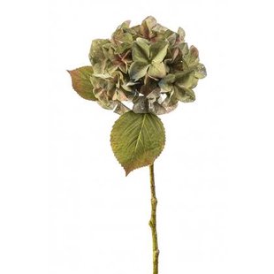 Fleurdirect Kunsttak Hydrangea - Groen|Multicolor - Kunststof