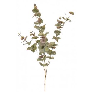 Fleurdirect Kunsttak Eucalyptus - Groen - Kunststof - 0x97x0cm (BxHxD)