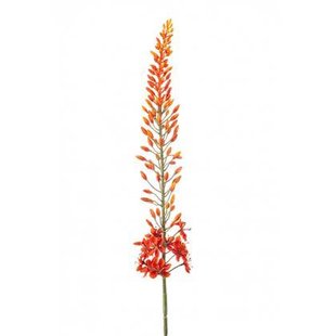 Fleurdirect Kunsttak Eremurus - Oranje - Kunststof - 0x108x0cm (BxHxD)
