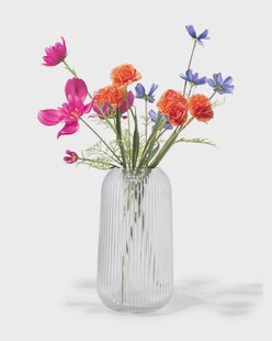 HEMA Vaas ⌀6.9x27cm glas transparant (transparant)