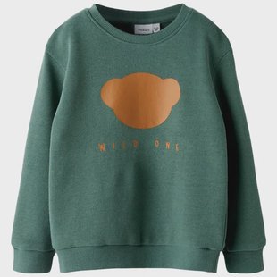 Name it peuter sweater