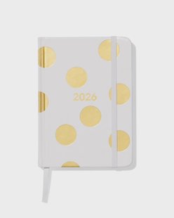 HEMA Agenda 2026 A6 PU stippen goud