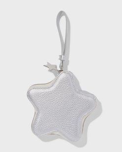 HEMA Etui 15.5x3x15cm ster (zilver)