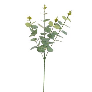Kunstbloem Eucalyptus - Groen - 60 cm