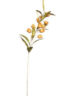 Kunstbloem Abutilon - Bruin - 105 cm