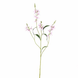 Kunstbloem Camassia - Lila - 100 cm