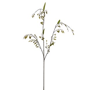 Kunstbloem Chasmanthium - Groen - 115 cm